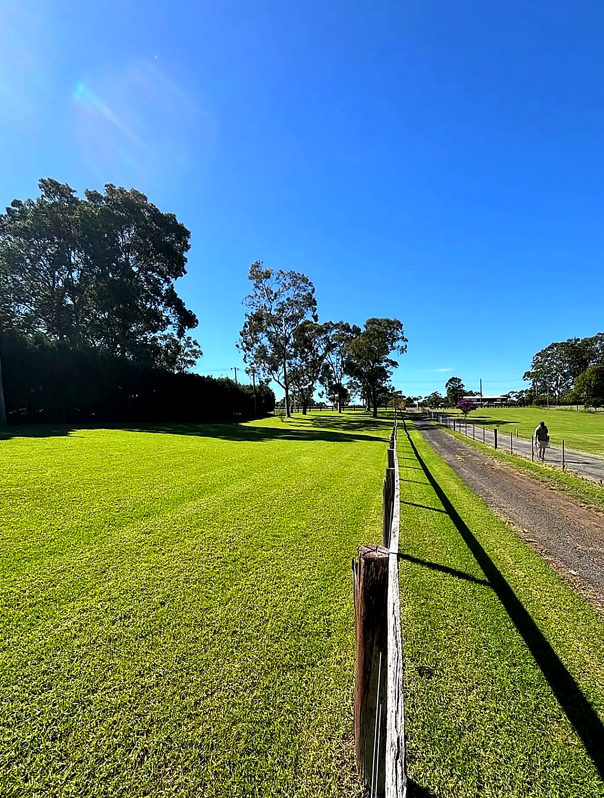 Lawn Care & Mowing by GOAT Gardens in Sydney