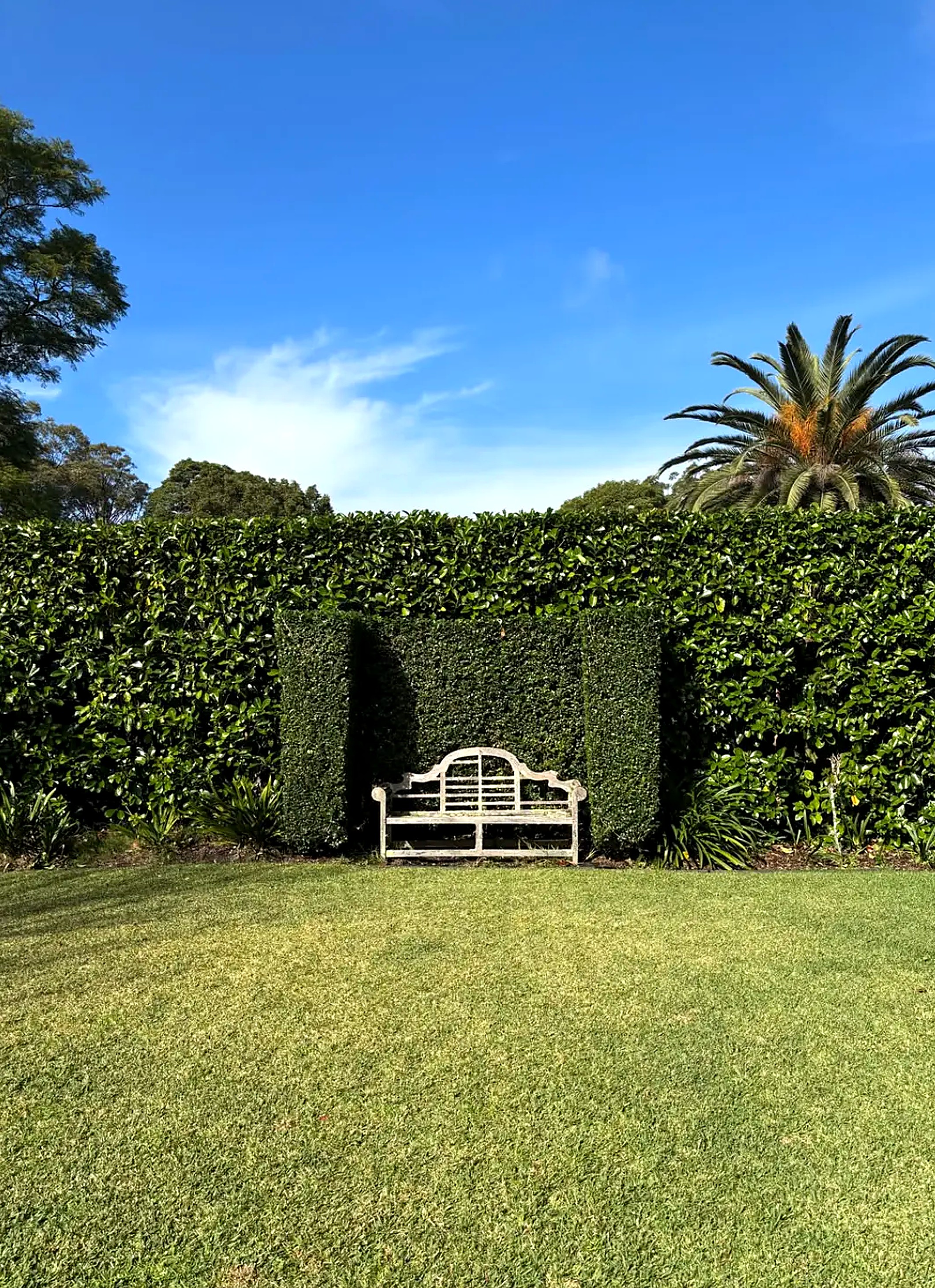 Manicured hedge with a recessed alcove and timber garden bench