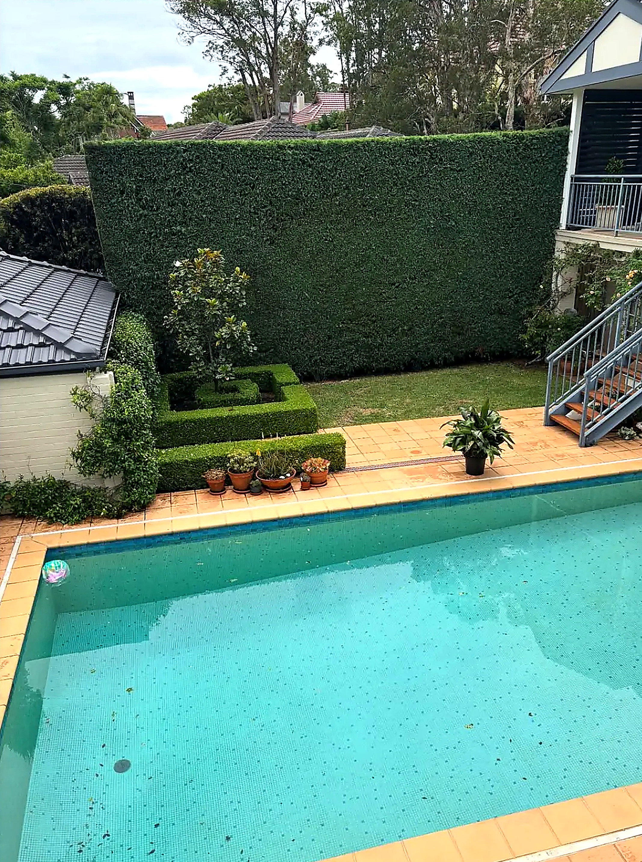 Pool surrounded by tiled coping with a tall clipped hedge behind