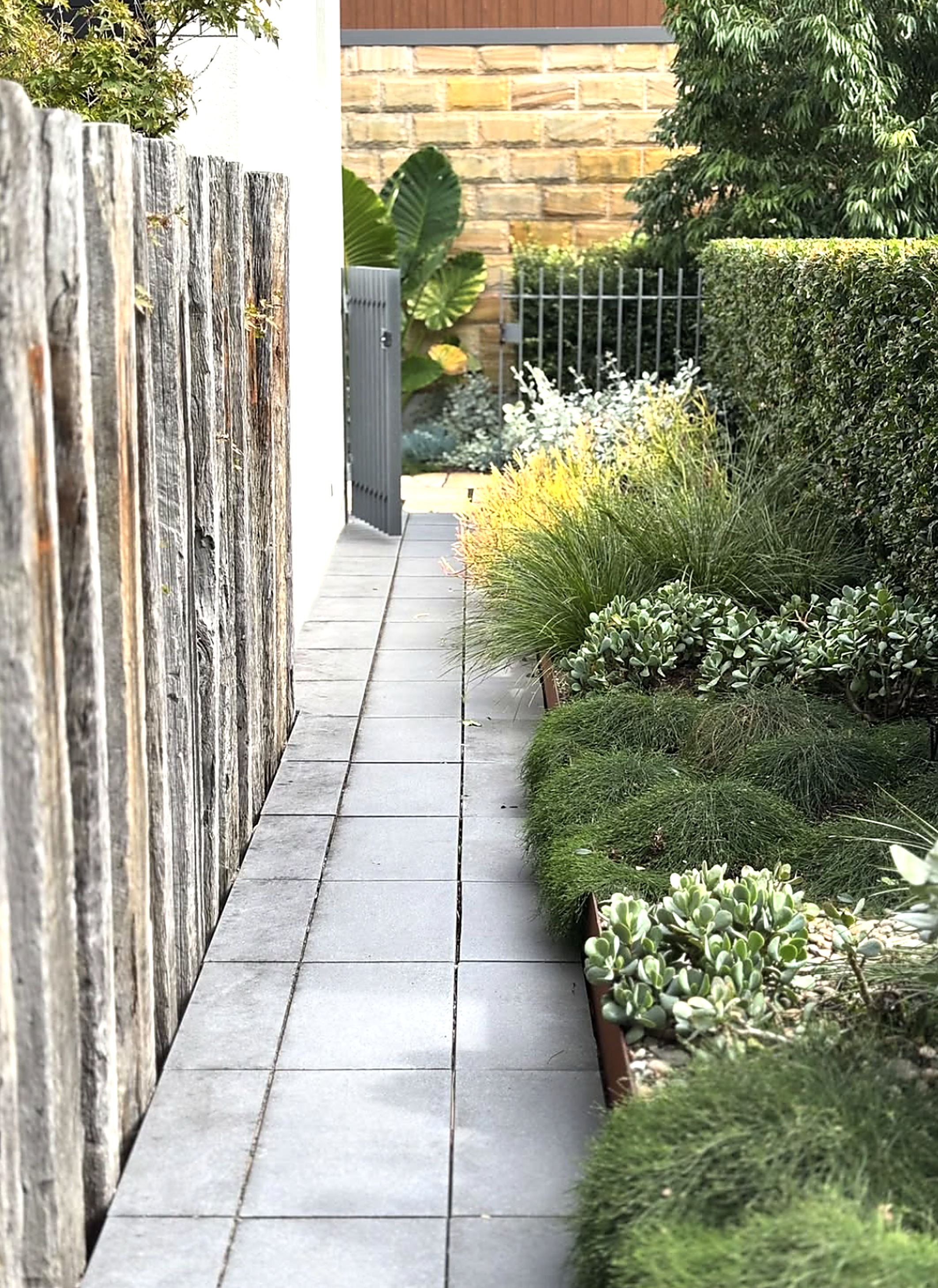 GOAT Gardens gardener shaping a formal box hedge with hand shears